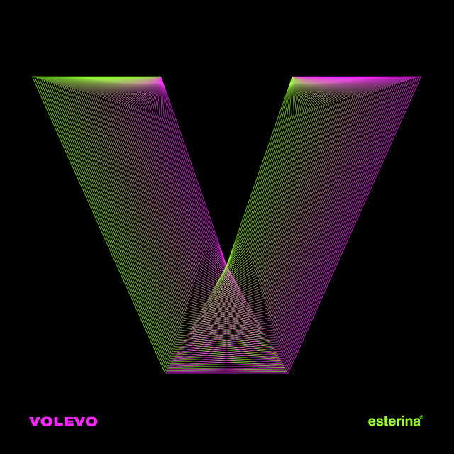 Volevo cover art