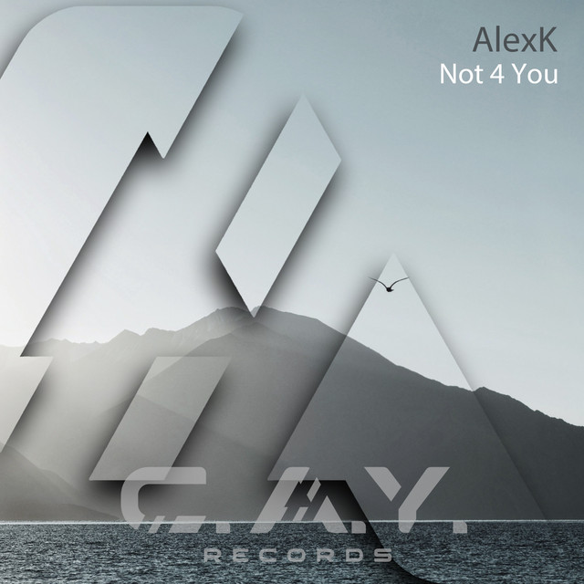 Обкладинка: Not 4 You - original mix — AlexK