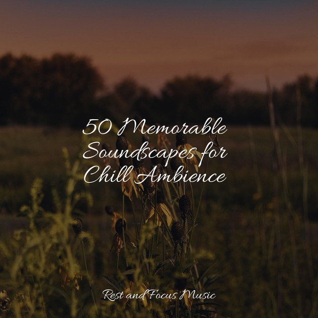 50 Memorable Soundscapes for Chill Ambience - Album by Brain Study ...