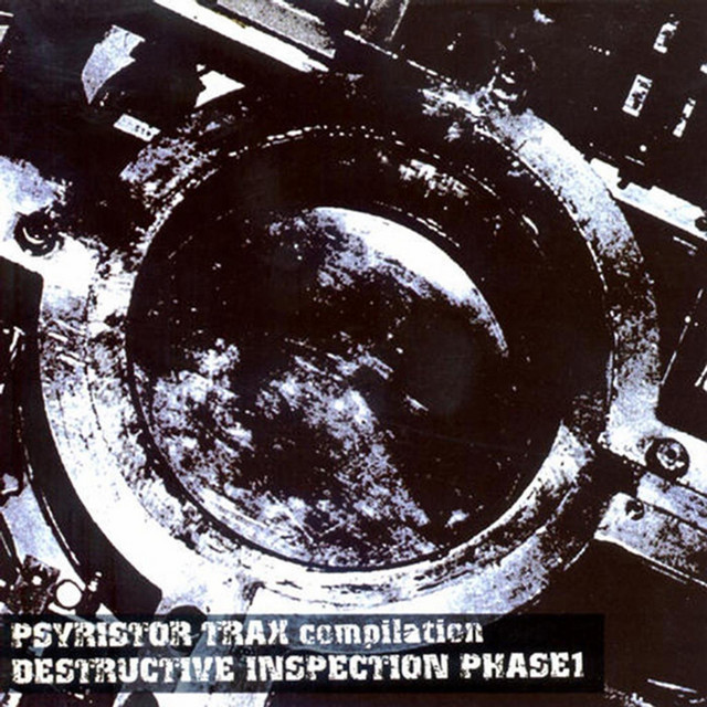 Destructive Inspection Phase1 cover