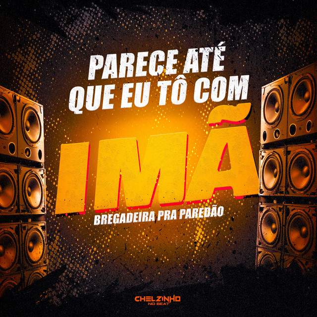 Parece Até Que Eu Tô Com Imã Bregadeira Pra Paredão