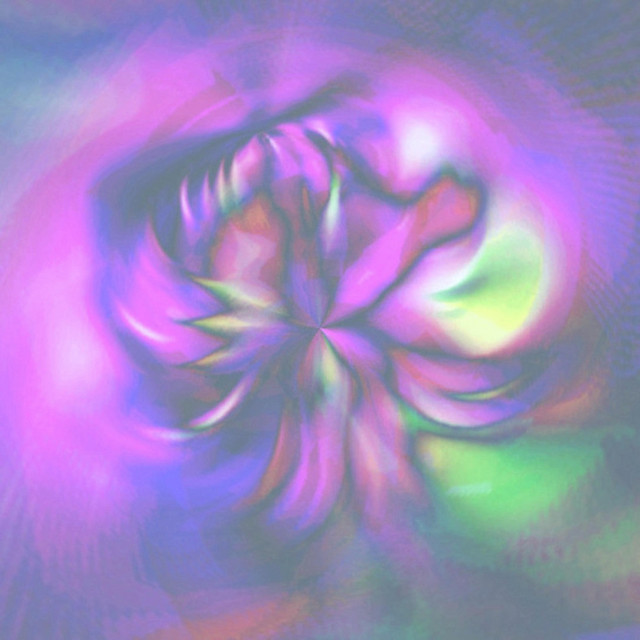 lotus cover art