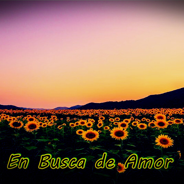 En Busca de Amor cover art
