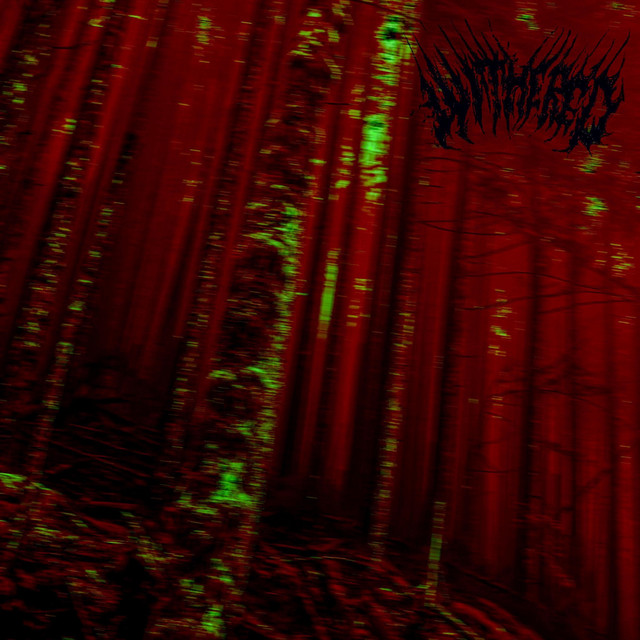 Below Dark Trees cover art