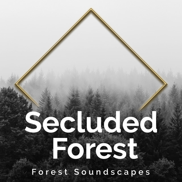Secluded Forest cover art