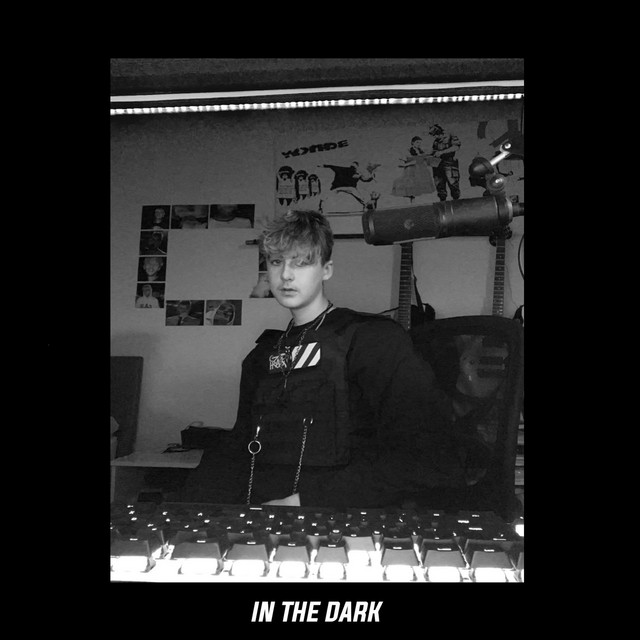 In The Dark cover art