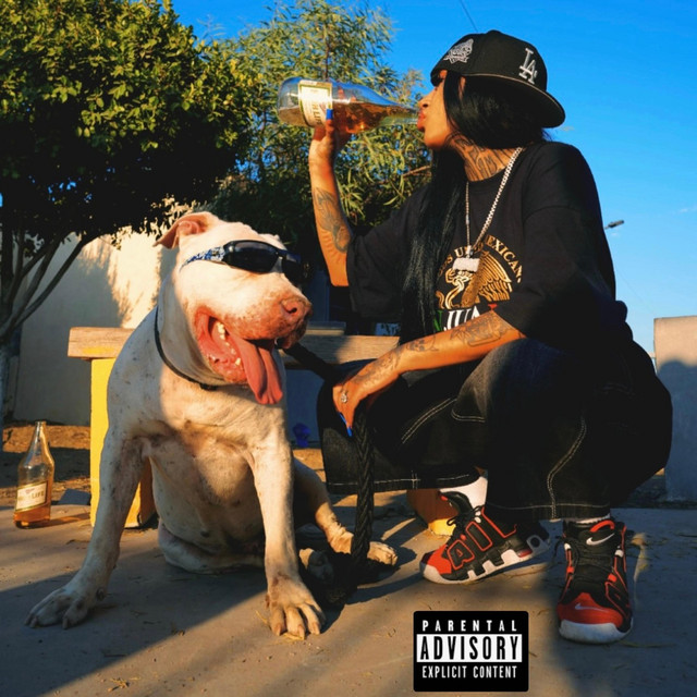 undefined album image