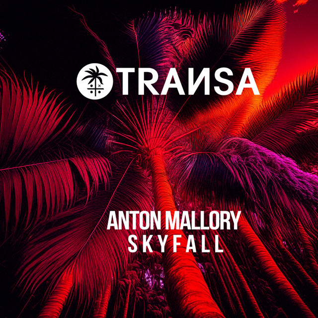 Skyfall - Radio Mix