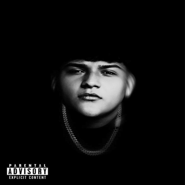 Rosa cover art