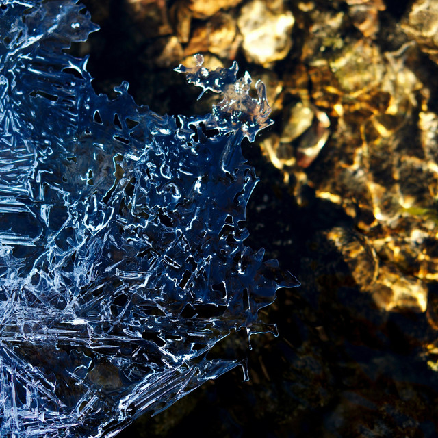 Frost