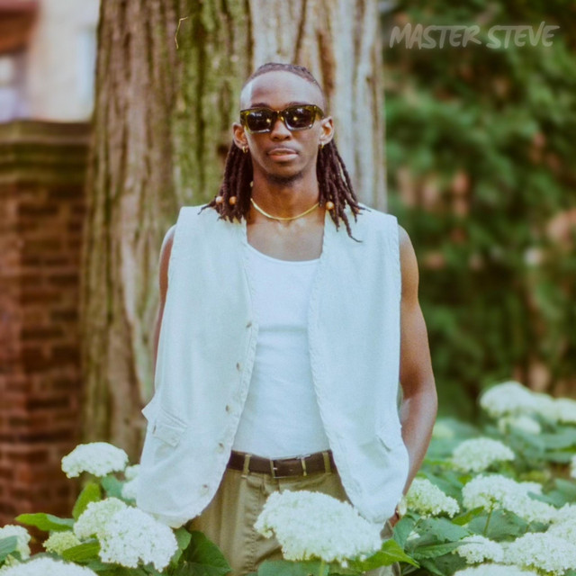 MASTERPEACE cover art