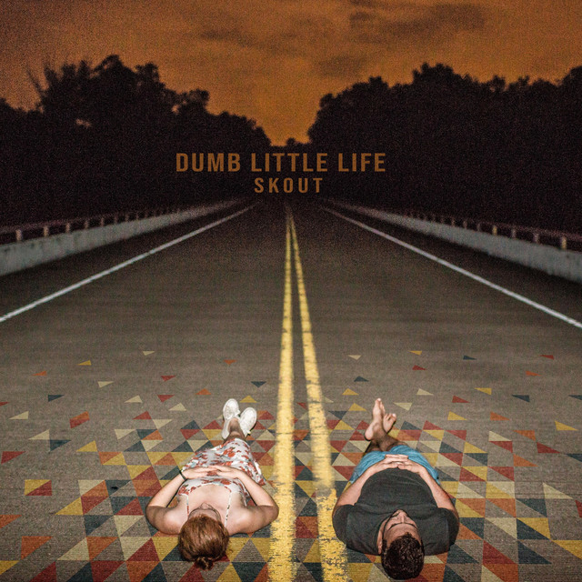 Dumb Little Life cover