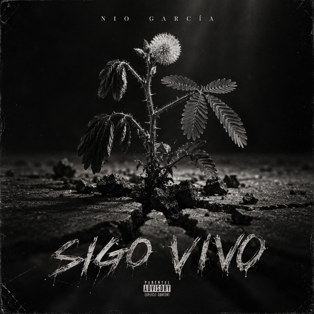 Sigo Vivo album image