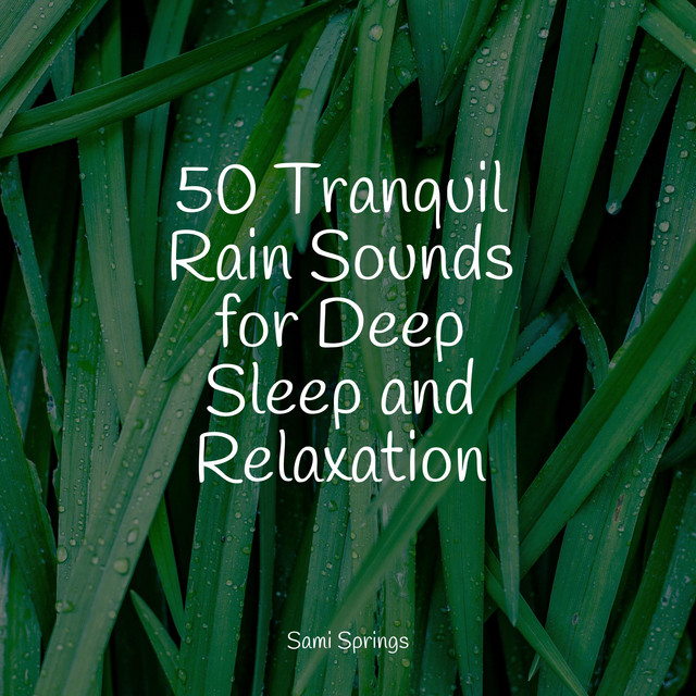 50 Relaxing Rain Sounds for Sleep and Relaxation - Album by Sample Rain ...