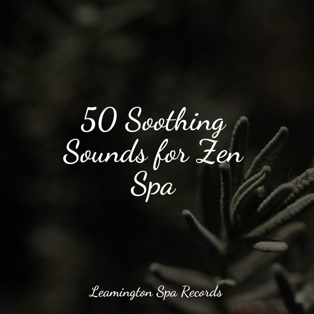 50 Soothing Sounds for Zen Spa - Album by Sonidos de la Naturaleza ...