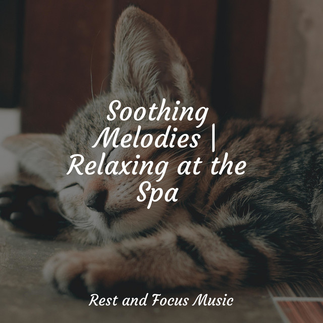 Soothing Melodies | Relaxing at the Spa - Album by Relaxing Sleep Sound ...
