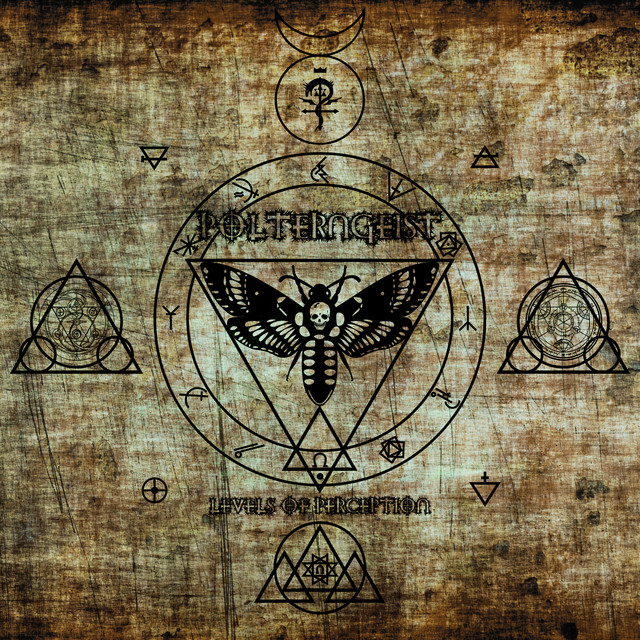Levels of Perception cover art