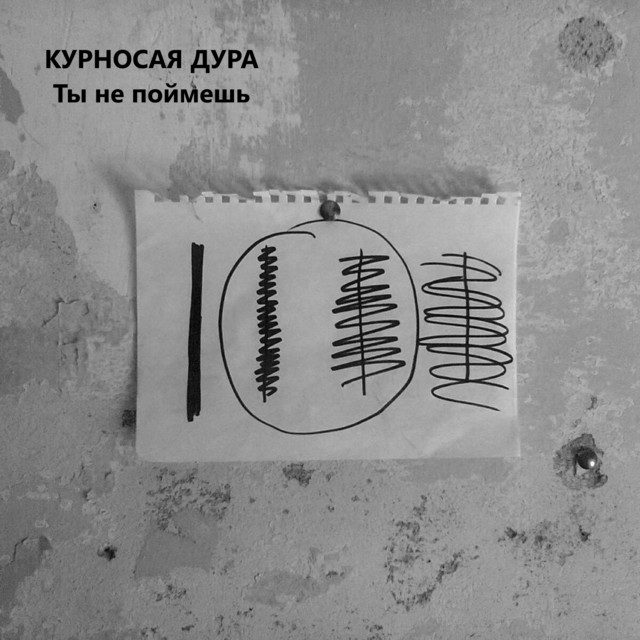 Обкладинка: Ты не поймешь — КУРНОСАЯ ДУРА