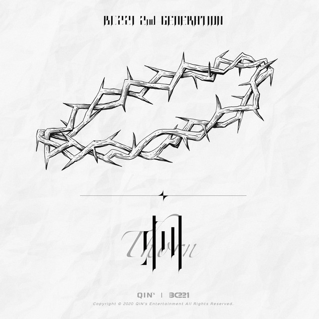 刺 cover