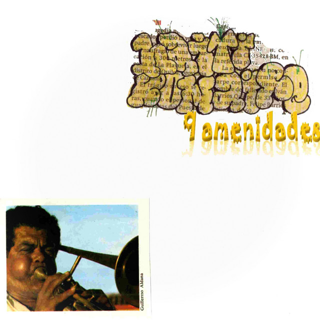 9 amenidades cover art