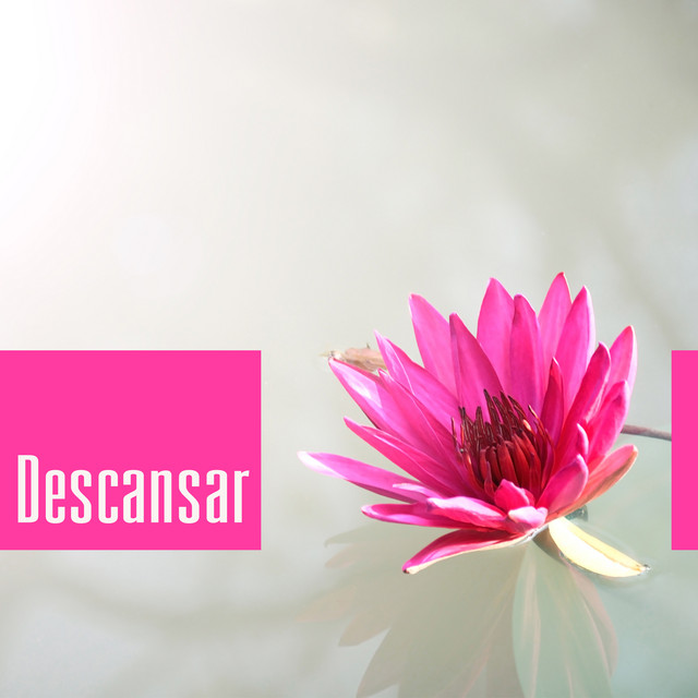 Descansar cover art
