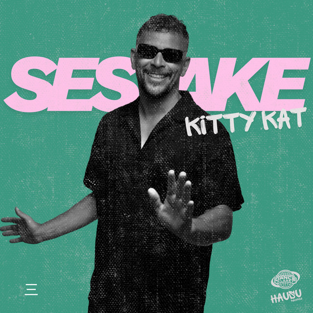 Kitty Kat - Single by SeSaKe | Spotify