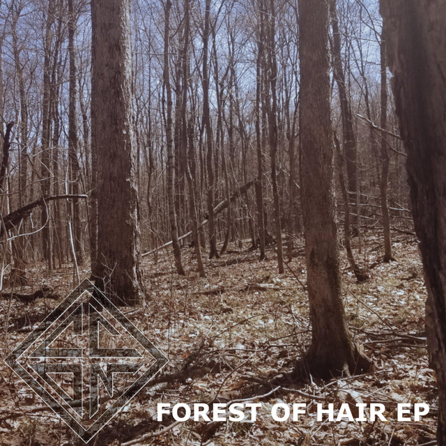 Forest of Hair cover art