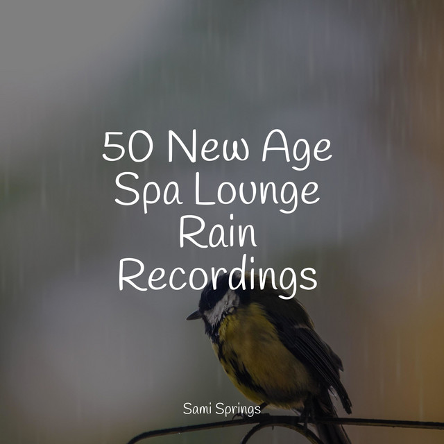 50 Peaceful Nature Sounds for Stress Relief - Album by Ambient Music ...