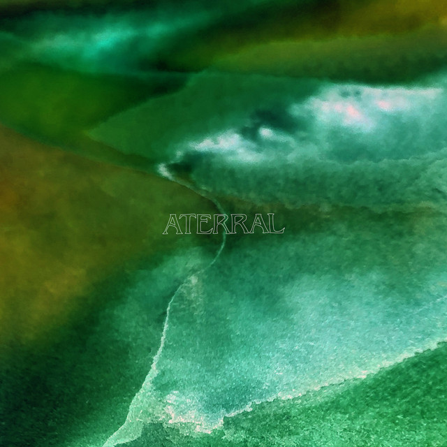 Chamomile album art