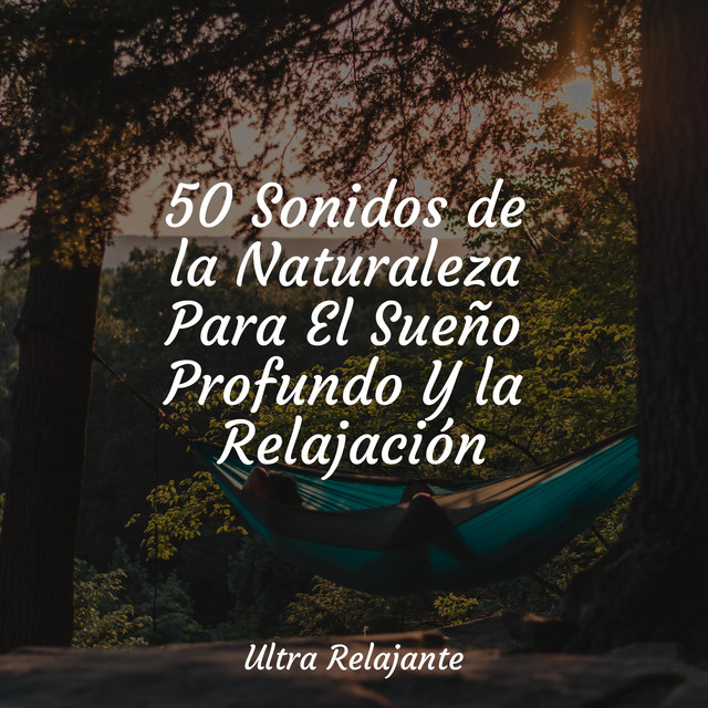 50 Sonidos de la Naturaleza Para El Sueño Profundo Y la Relajación ...