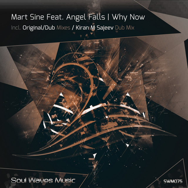 Why Now - Original Mix cover art