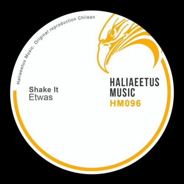 Shake It album art