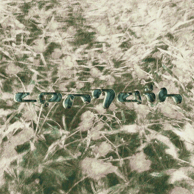 Certain cover art