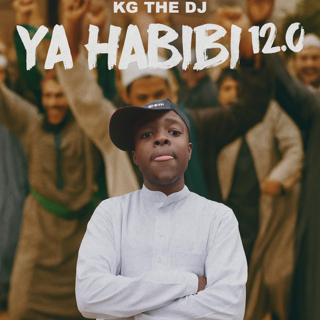 Ya Habibi 12.0 (Remix) cover art
