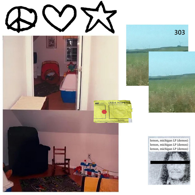 demos for the upcoming album by 303bugworld titled "Lemon, Michigan" (Demo) cover art