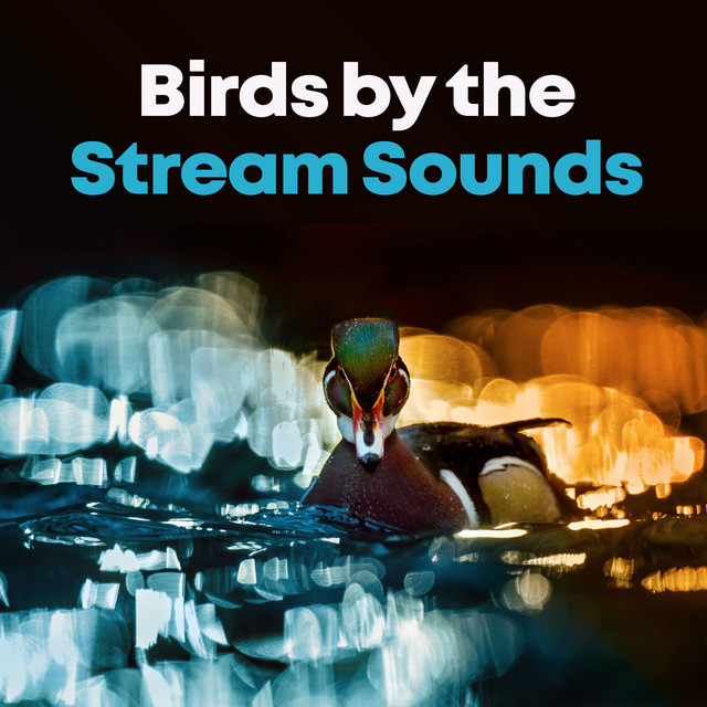 Birds by the Stream Sounds ! ! ! ! - Album by Naturaleza | Spotify