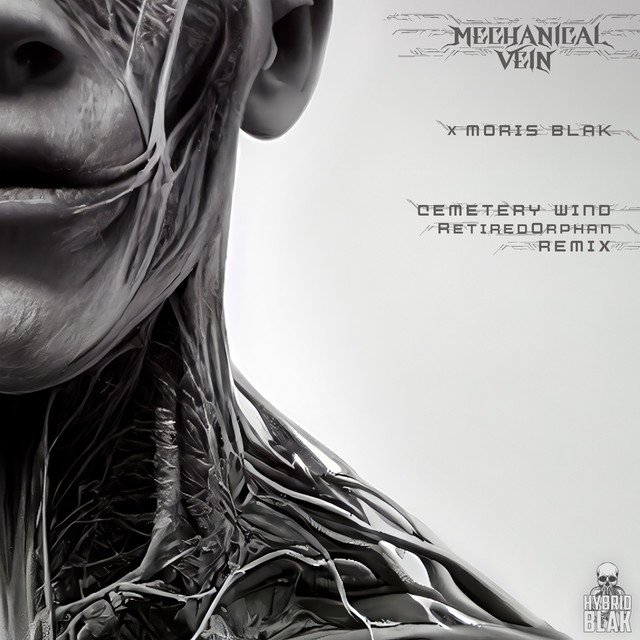 Cemetery Wind (RetiredOrphan Remix) - Single by Mechanical Vein | Spotify