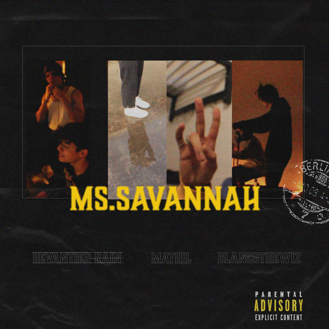 Ms.Savannah cover art