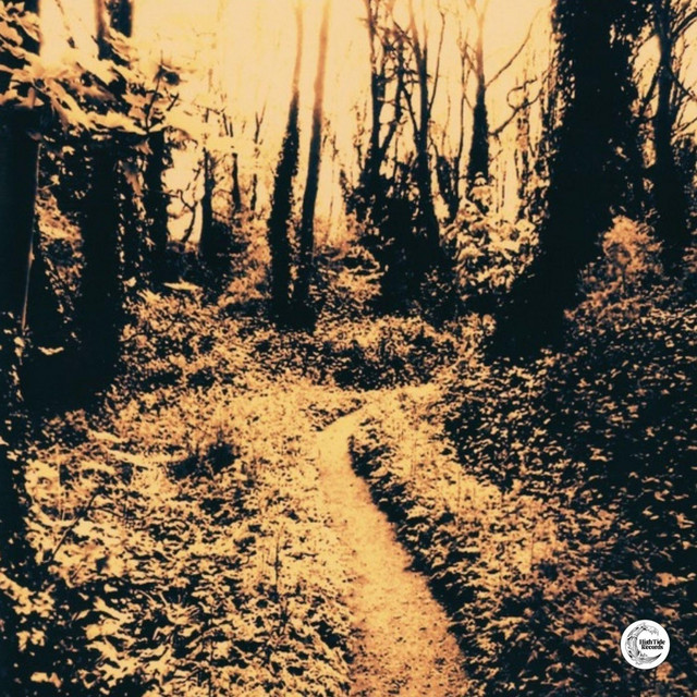 Music From The Dark Branches cover art