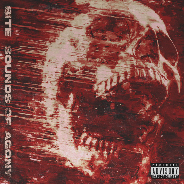 Sounds of Agony cover art