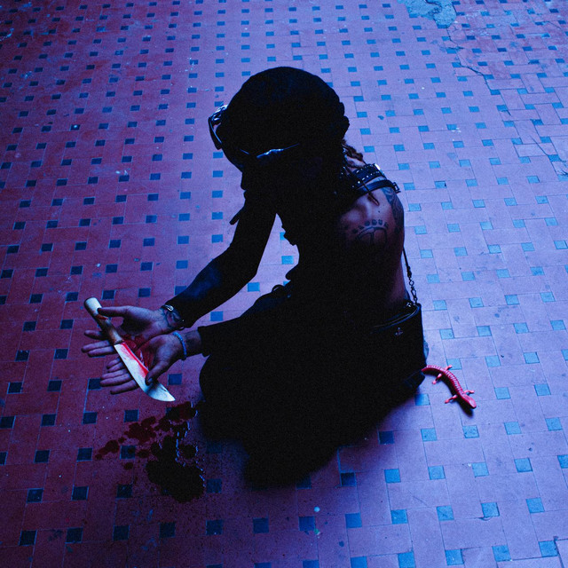 album image