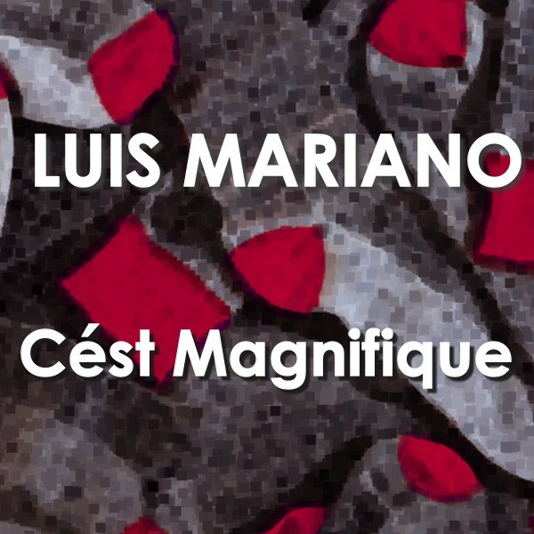 Cést magnifique cover art