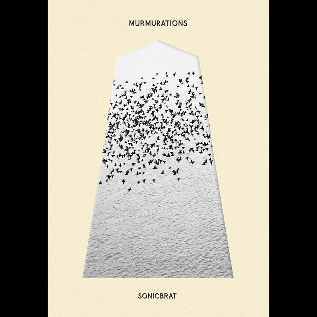 Murmurations cover art