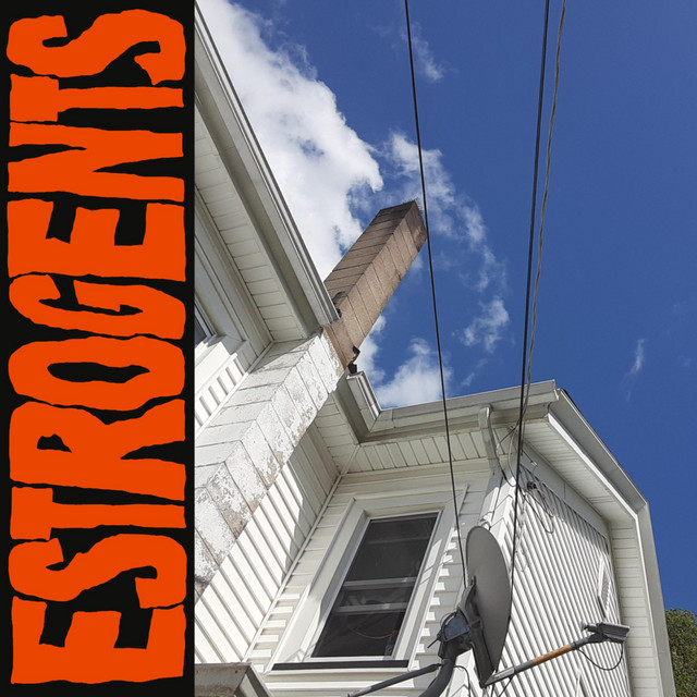 Estrogents cover art
