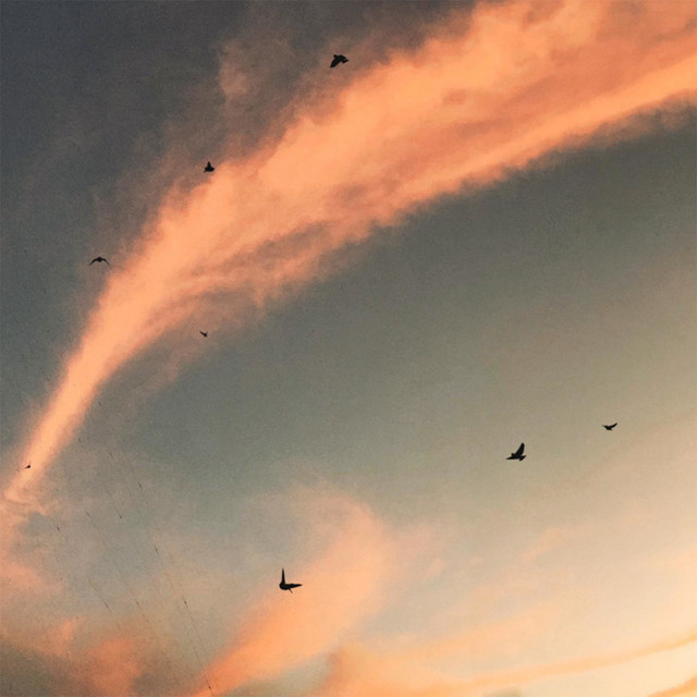 นก cover art