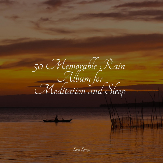 50 Memorable Rain Album for Meditation and Sleep - Album by Bird Sounds ...