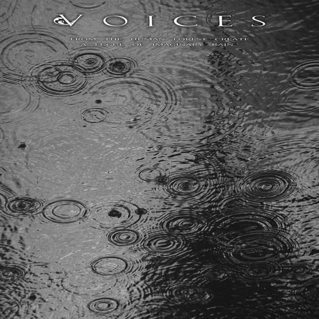 From The Human Forest Create A Fugue Of Imaginary Rain cover