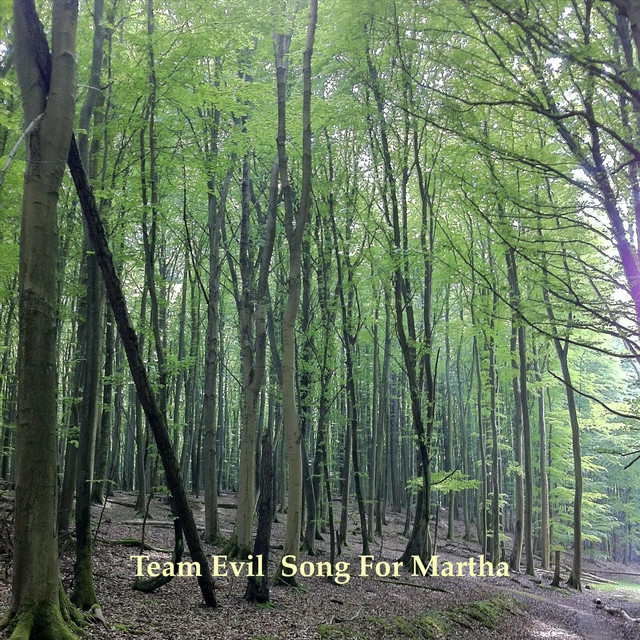 Song For Martha cover