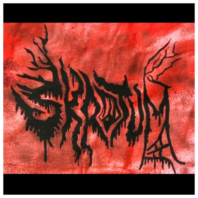 Skroat - Single by Skrotum | Spotify