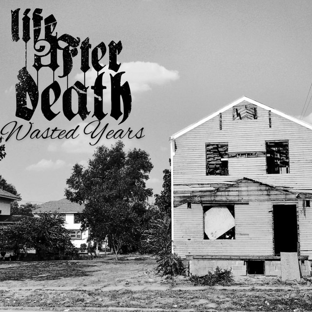 Wasted Years cover art
